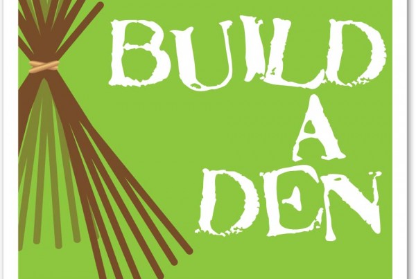 34_build a den_box