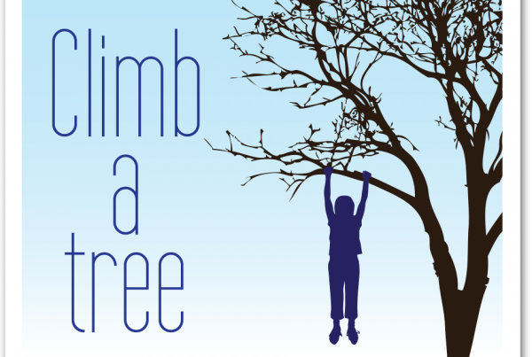 49_clime_tree_box