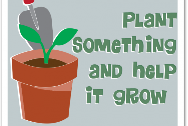 55_plant_something_box