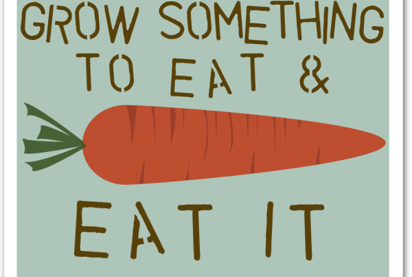 56_grow_food_BOX