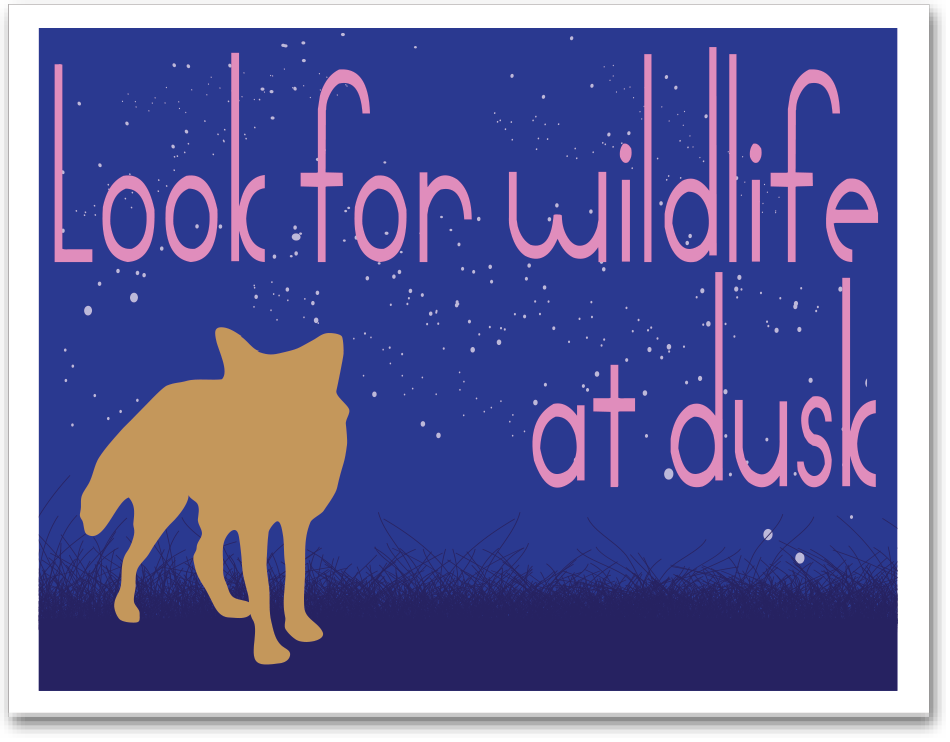 63_wildlife_dusk_box