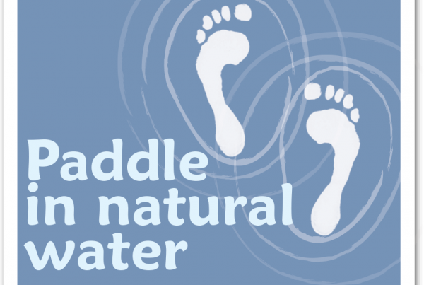 86_paddle_in_fresh_water_box