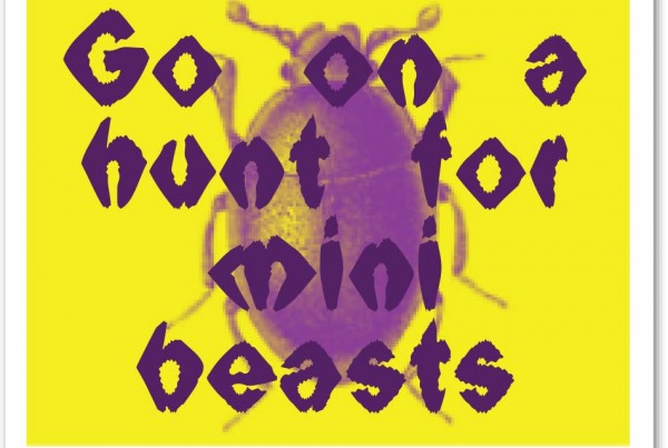 96_bugs_hunt_box