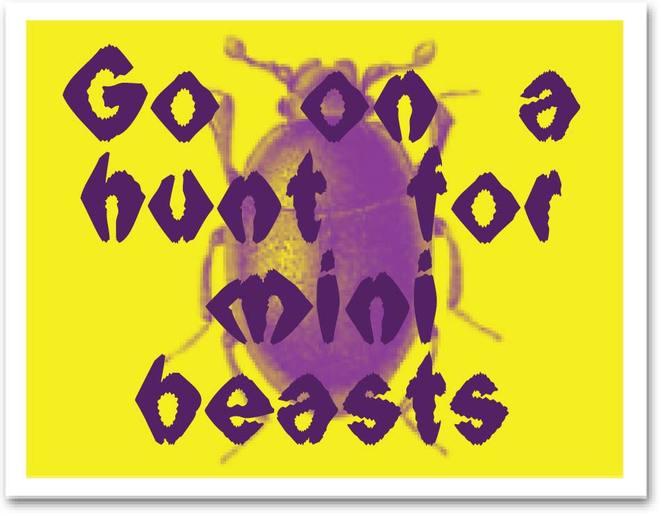 96_bugs_hunt_box